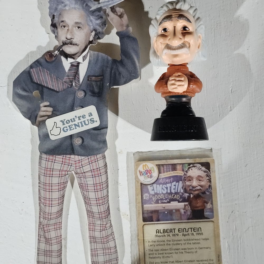 Albert Einstein Bobblehead and Magnet Set and Book